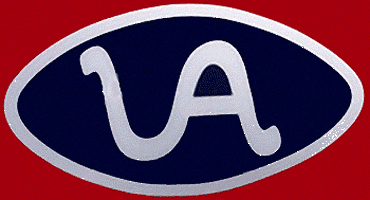 Arizona Wildcats 1972-1976 Alternate Logo custom vinyl decal